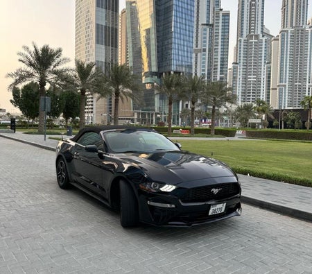 Location Gué Mustang EcoBoost Décapotable V4 2019 dans Dubai