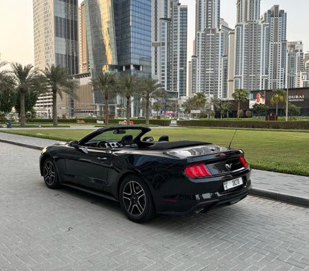 Аренда Ford Mustang EcoBoost Convertible V4 2019 в Дубай