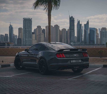 Ford Mustang EcoBoost Coupe V4 Price in Dubai - Muscle Hire Dubai - Ford Rentals
