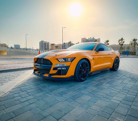 Affitto Guado Mustang Shelby GT500 2022 in Dubai
