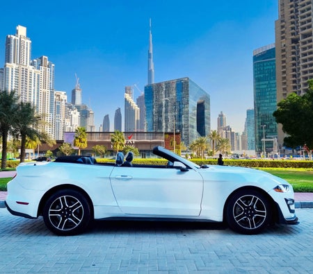 Rent Ford Mustang Shelby GT Kit Convertible V4 2020 in Dubai