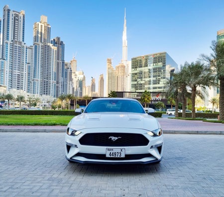 Rent Ford  2021 in Dubai