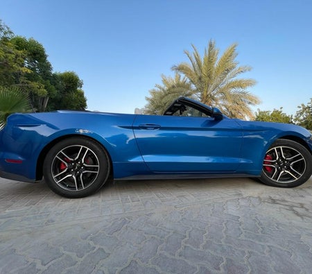 Vado Mustang EcoBoost Convertible V4 2019