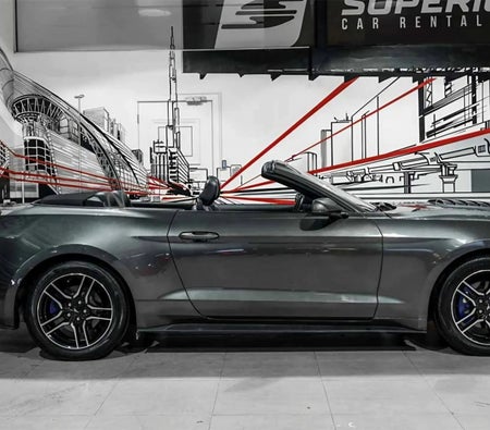 Ford Mustang EcoBoost Cabrio V4 2020