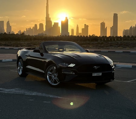 Miete Ford Mustang EcoBoost Cabrio V4 2021 in Dubai