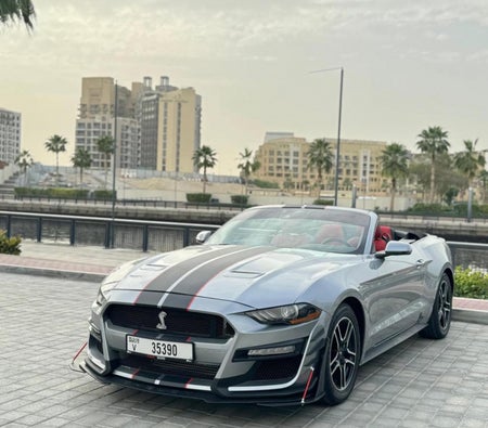 Rent Ford Mustang EcoBoost Convertible V4 2021 in Dubai