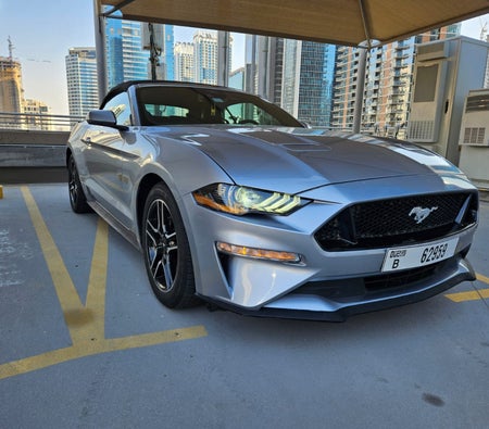 Rent Ford Mustang EcoBoost Convertible V4 2023 in Dubai