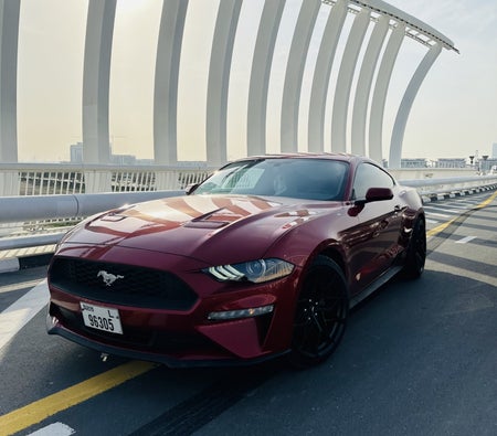 Rent Ford Mustang EcoBoost Coupe V4 2020 in Dubai