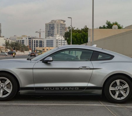 Huur Ford Mustang EcoBoost Coupé V4 2021 in Dubai
