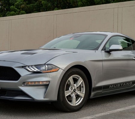 Rent Ford Mustang EcoBoost Coupe V4 2021 in Dubai
