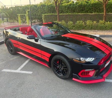 Rent Ford Mustang GT Convertible V4 2021 in Abu Dhabi