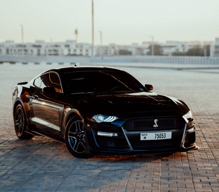 Rent Ford Mustang GT Coupe V8 2021 in Dubai