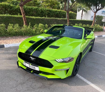 Miete Ford Mustang Shelby GT500 Kit Cabrio V4 2022 in Dubai
