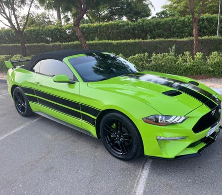 Huur Ford Mustang Shelby GT500 Kit Convertible V4 2022 in Dubai