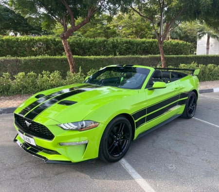 Rent Ford Mustang Shelby GT500 Kit Convertible V4 2022 in Dubai