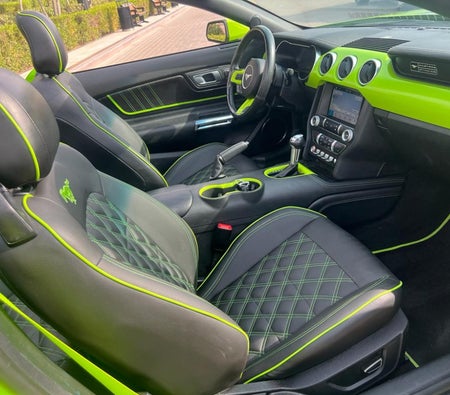 فورد موستنغ شيلبي GT المكشوفة V8 2019