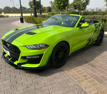Ford Mustang Shelby GT Convertible V8 2019