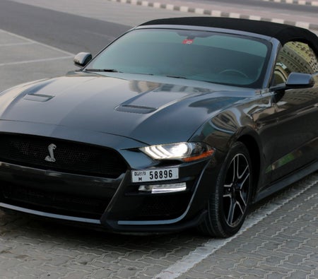 Rent Ford Mustang Shelby GT Convertible V8 2019 in Sharjah