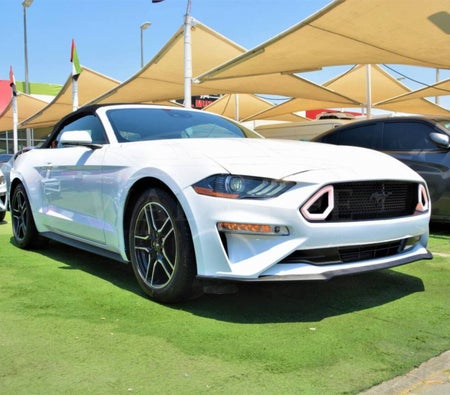 Rent Ford Mustang Shelby GT Kit Convertible V4 2021 in Dubai