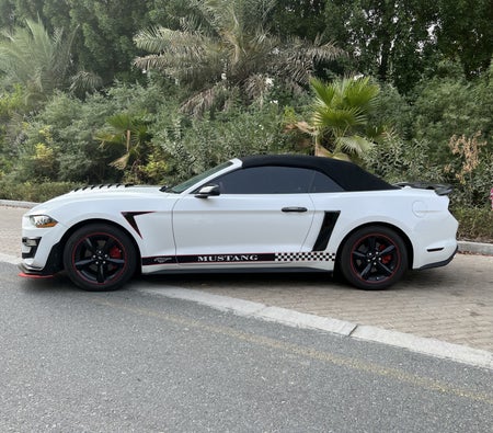 Rent Ford Mustang Shelby GT Kit Convertible V4 2022 in Dubai