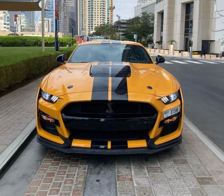 Miete Ford Mustang Shelby GT500 2022 in Dubai