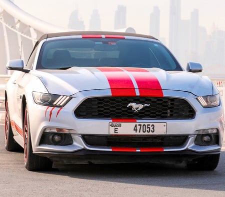 Affitto Guado Mustang EcoBoost Convertible V4
 2016 in Dubai