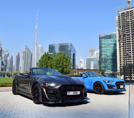Rent Ford Mustang Shelby GT 350 2019 in Dubai