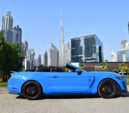 Rent Ford Mustang Shelby GT 350 2019 in Dubai
