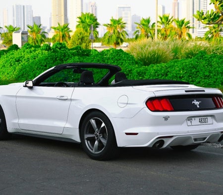 Rent Ford Mustang V6 Convertible 2018 in Muscat