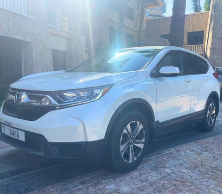 Rent Honda CR-V 2019 in Dubai