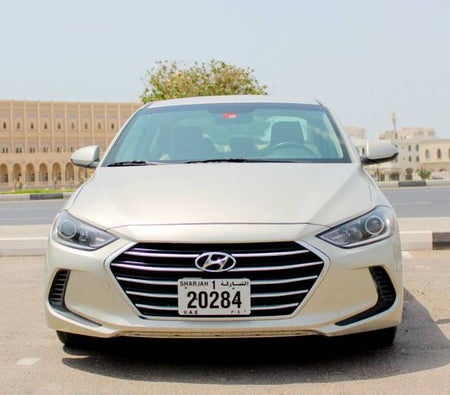 Hyundaik Brand