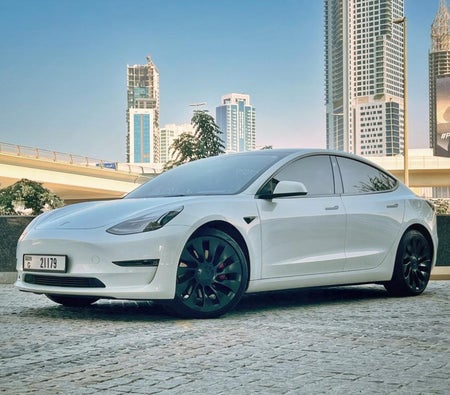 Location Tesla Performances du modèle 3 2022 dans Abu Dhabi