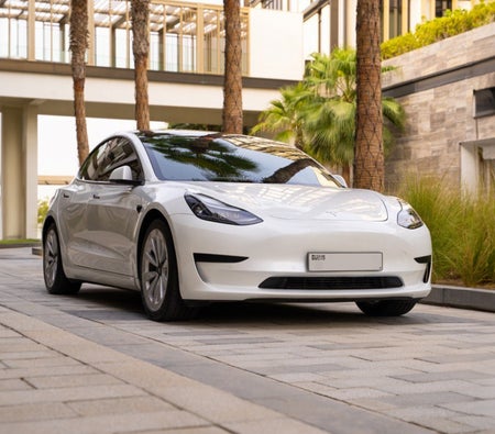 Miete Tesla Leistung des Modells 3 2023 in Ajman