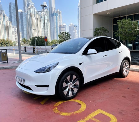 Аренда Tesla Модель Y дальнего действия 2022 в Абу-Даби
