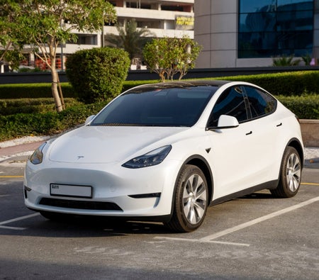 Rent Tesla Model Y Long Range 2023 in Abu Dhabi