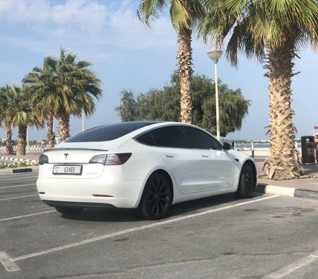 Tesla Rendimiento del modelo 3 2020