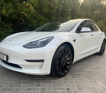 Miete Tesla Leistung des Modells 3 2022 in Dubai