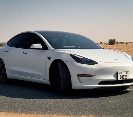 Location Tesla Modèle 3 Standard Plus 2021 dans Dubai