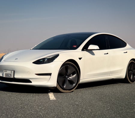 Affitto Tesla Modello 3 Standard Plus 2021 in Dubai