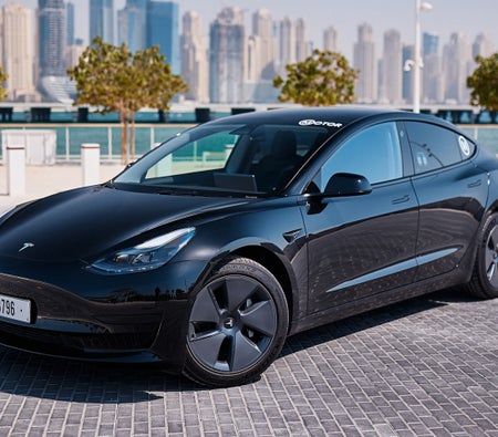 Tesla Modelo 3 Estándar Plus 2022