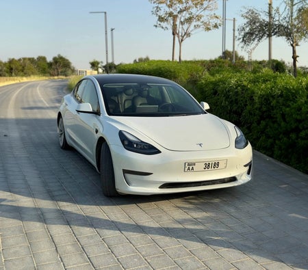 Аренда Тесла Модель 3 Стандарт Плюс 2022 в Дубай