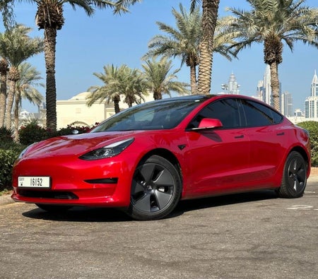 Аренда Tesla Модель 3 Стандарт Плюс 2023 в Абу-Даби