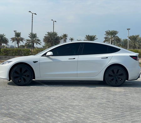 Rent Tesla Model 3 Standard Plus 2024 in Abu Dhabi