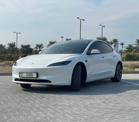 Аренда Tesla Модель 3 Стандарт Плюс 2024 в Абу-Даби