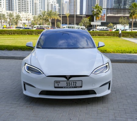 Tesla Carreaux Modèle S 2021