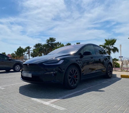 Tesla Modèle X Plaid 2023