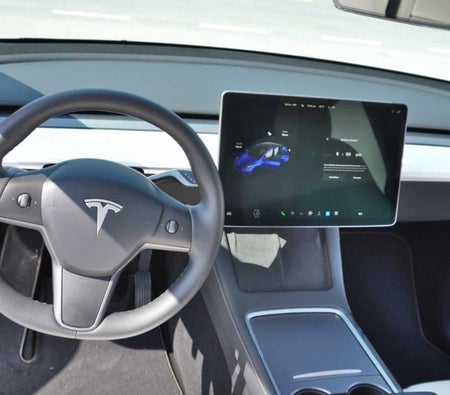 Tesla Modèle Y longue portée 2022