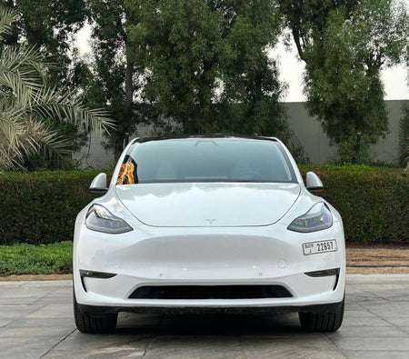 Rent Tesla Model Y Long Range 2022 in Dubai