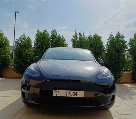 Alquilar Tesla Modelo Y de largo alcance 2022 en Dubai