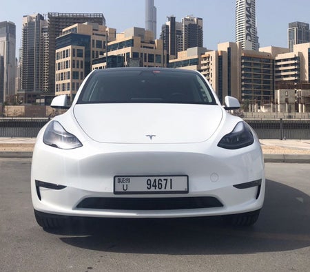 Аренда Тесла Модель Y большой дальности 2022 в Дубай